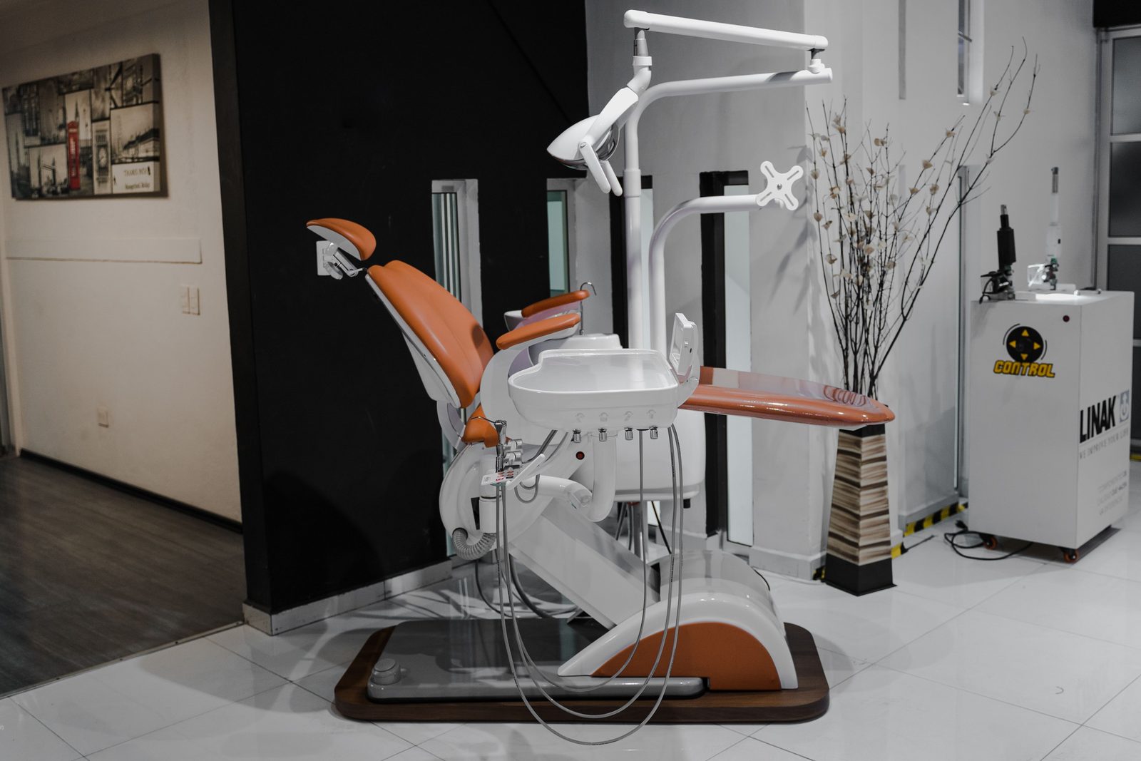 Dental delivery system and operating light