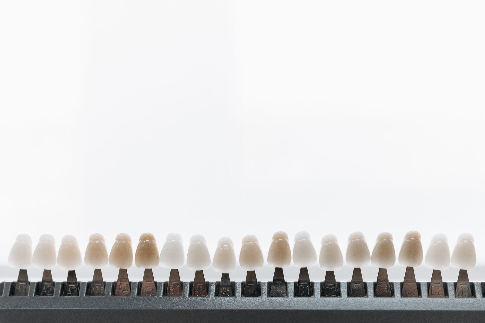 Shade samples on display for hands-on assessment